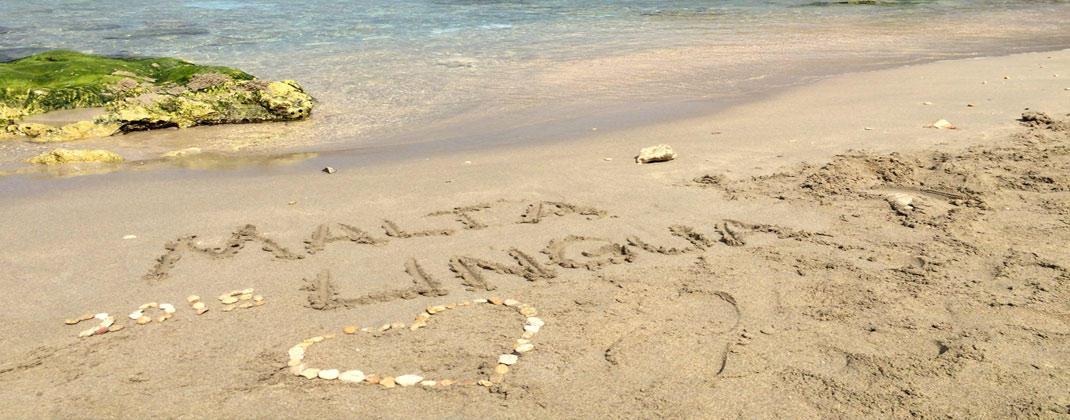 Learn English in Malta